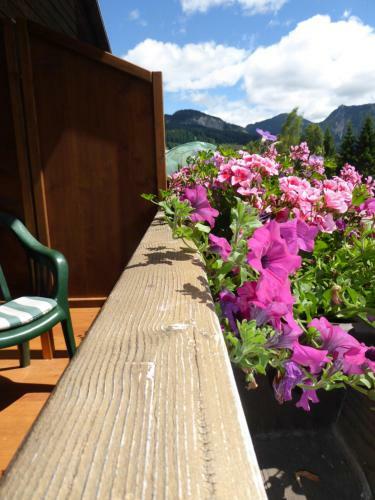 Hostal Gasthof - Pension Enzian