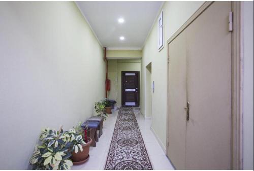 Aparthotel Leyla Apartmens 1