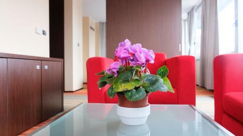 Hotel Richi