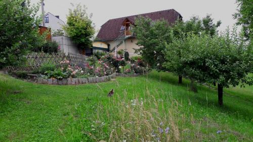 Apartamento Ferienwohnungen Soravia