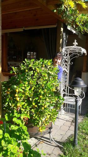 Apartamento Ferienwohnungen Soravia