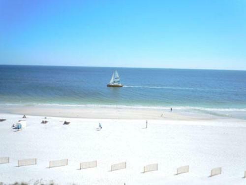 Edgewater 41 By Youngs Suncoast