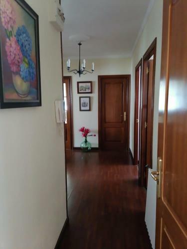 Apartamento Piso En Pleno Centro de Mi�o