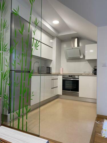 Apartamento �tico A Xunqueira - Moa�a