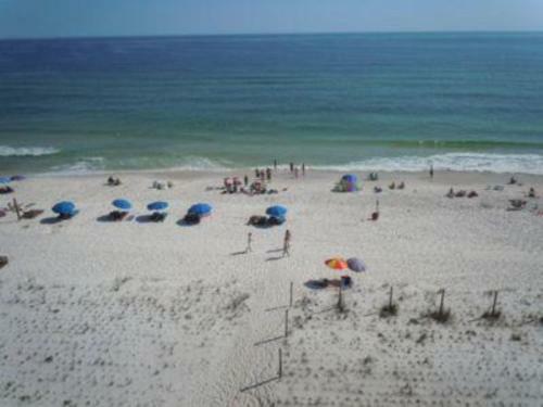 Edgewater By Youngs Suncoast