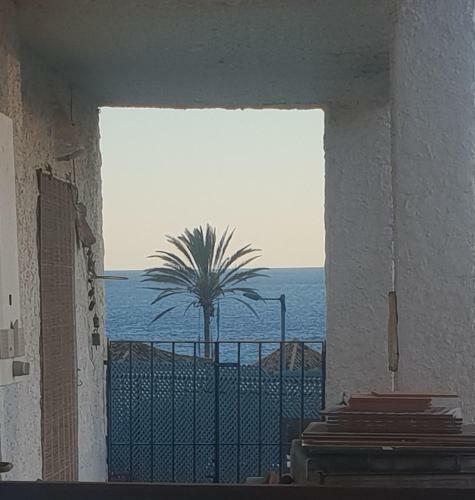 Apartamento La Gaviota 13