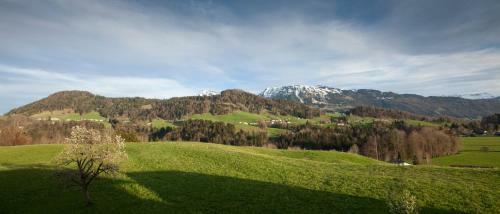 Hotel Gasthof W�lderhof