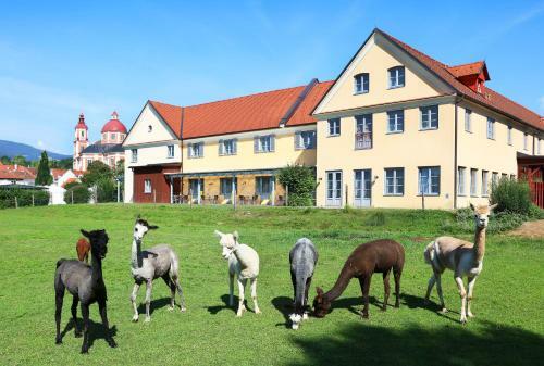 Hotel Jufa P�llau