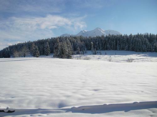 Apartamento Haus Hubertus