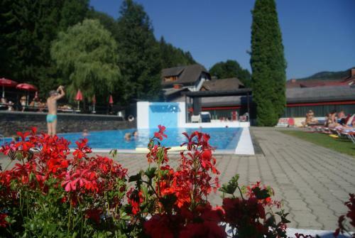 Hotel Landhotel-restaurant Willingshofer