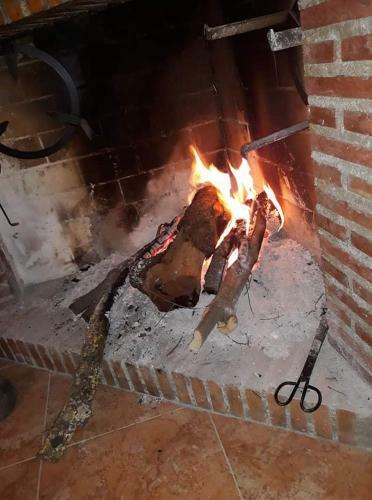 La Vi�olilla
