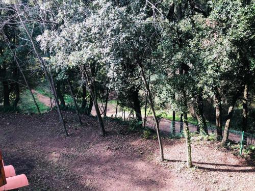 La Pineda De Can Marlet