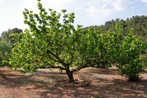 Agroturismo Ca L'eli Different Experience