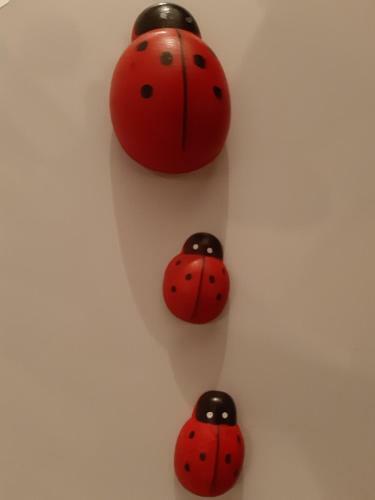 Apartman Ladybug