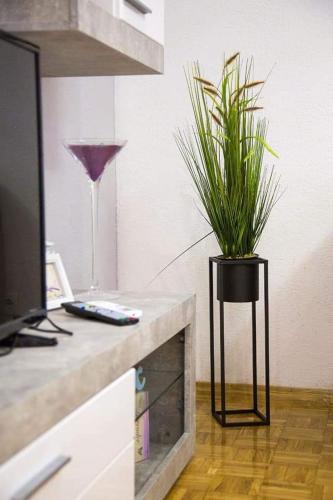 Apartamento Bulevar