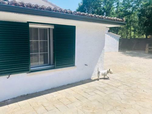 La Casa De La Pradera