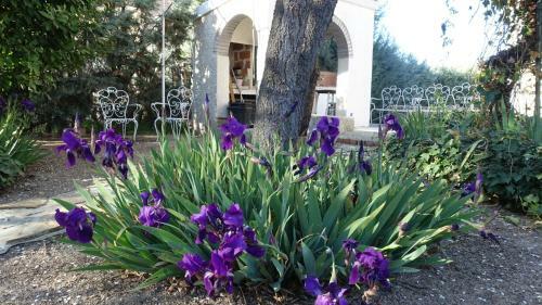 Villa Flores