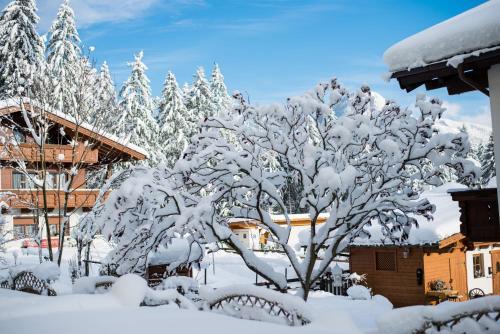 Hostal G�stehaus Waldrand Garni