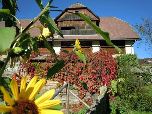 Agroturismo Bauernhof Mandl