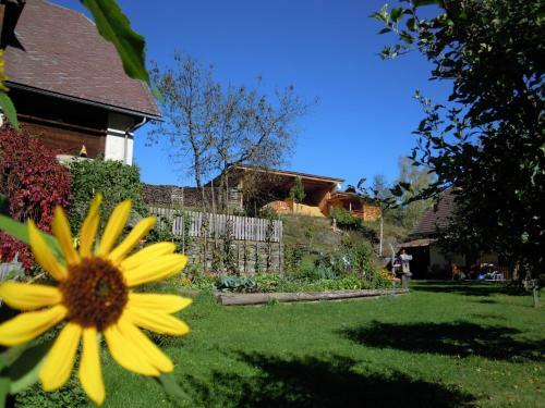 Agroturismo Bauernhof Mandl