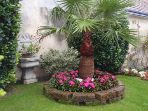 Bed & Breakfast Villa-angelina