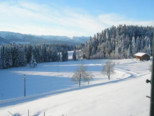 Apartamento Lindenhof
