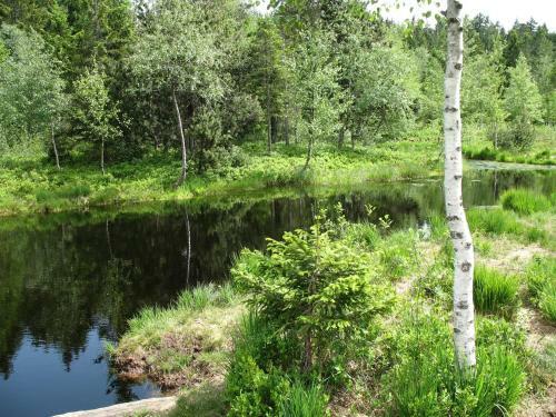 Apartamento Haus Dreil�nderblick