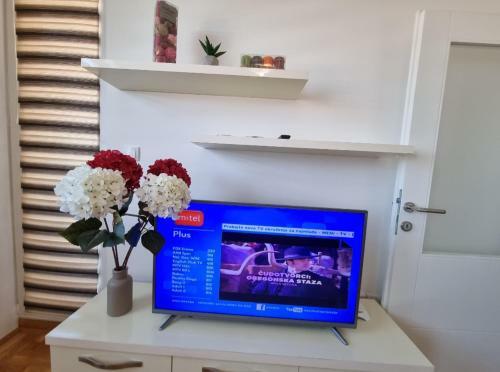 Apartman Moskva Bijeljina