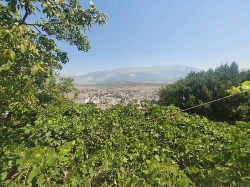Apartamento Riva Guest House
