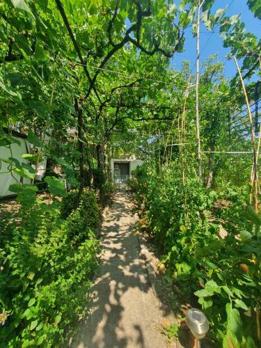 Apartamento Riva Guest House