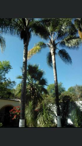 Bed & Breakfast Posada Los Grillos