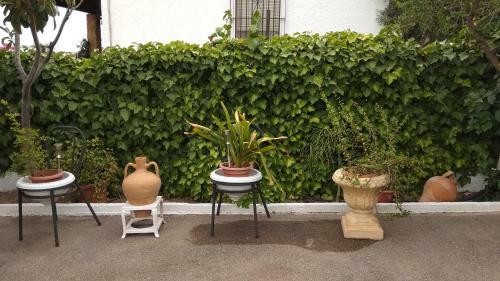 Agroturismo Casa Rural La Yedra
