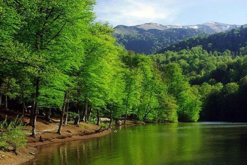 Bed & Breakfast Petit Dilijan