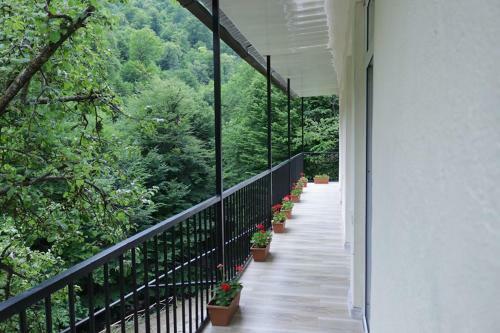 Hostal Riviera Dilijan