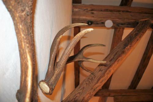 Apartamento Haus Buchhammer