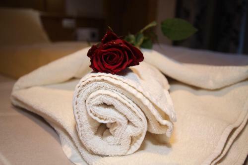 Hostal G�stehaus Alpina