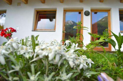 Hostal Alexandra Alber Villa Schlosskopf