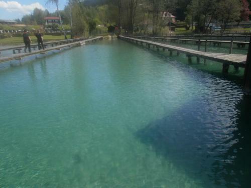 Bed & Breakfast Ferienpension Garni Hubert Rigelnik