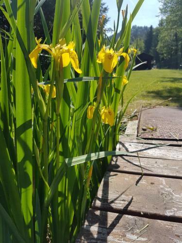 Bed & Breakfast Ferienpension Garni Hubert Rigelnik
