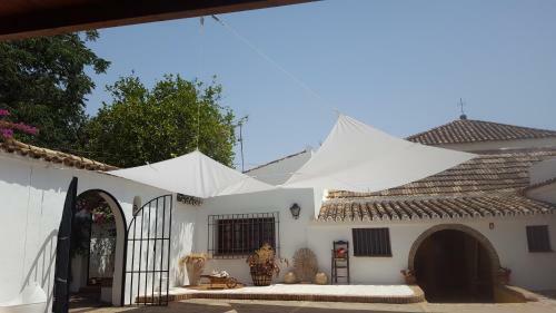 Casa Rural Sevilla, Olivares