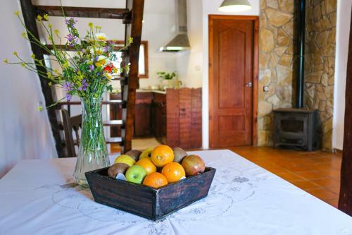 Apartamento Masia Pou de La Vinya