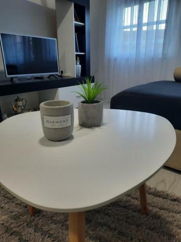 Apartman Centar Novi Grad
