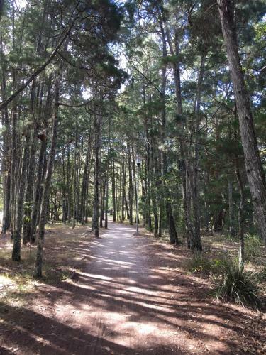 Apartamento Brunswick Heads Treetop Studio