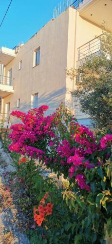 Apollon's Apartments