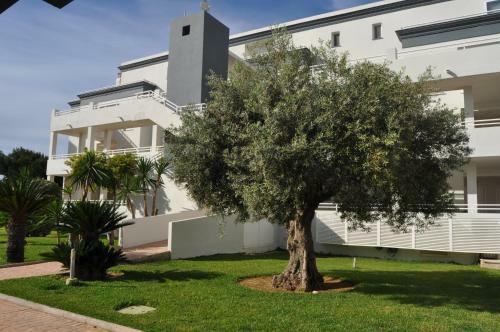 Apartamento Met&golf Oliva Nova Beach