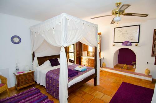 Hotel Kaliyoga Retreats