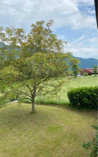 Apartamento Seehaus Relaxo