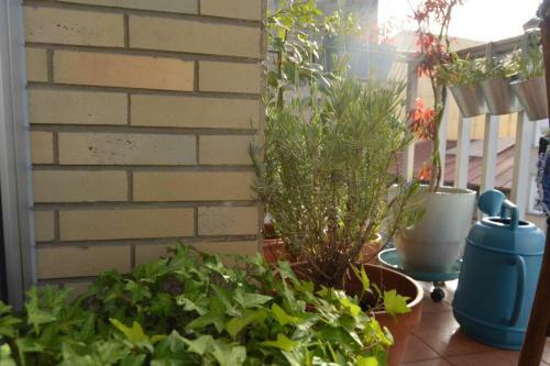 Downtown Apartment (125 M�)
