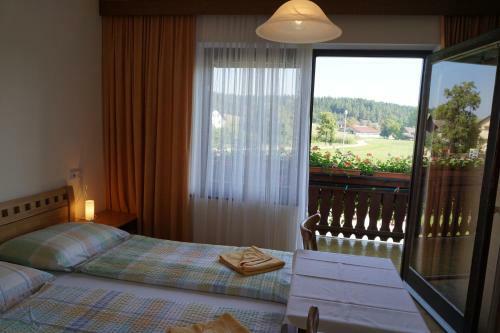 Hostal Pension Tschische