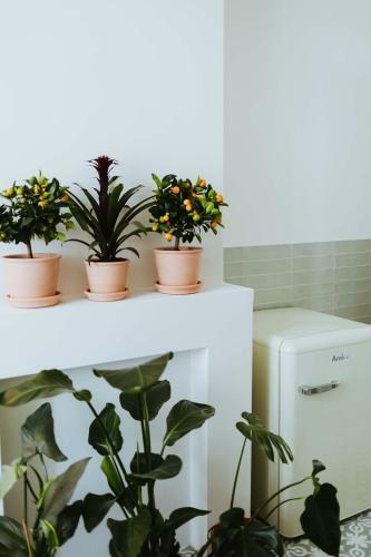 Bed & Breakfast Musa Antwerp